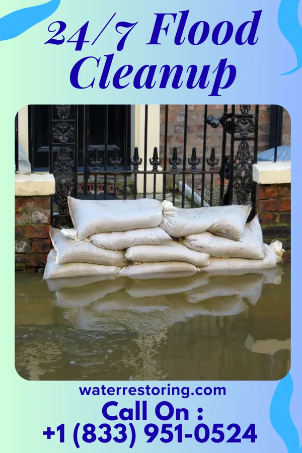 24/7 Flood Cleanup in Macon, MS