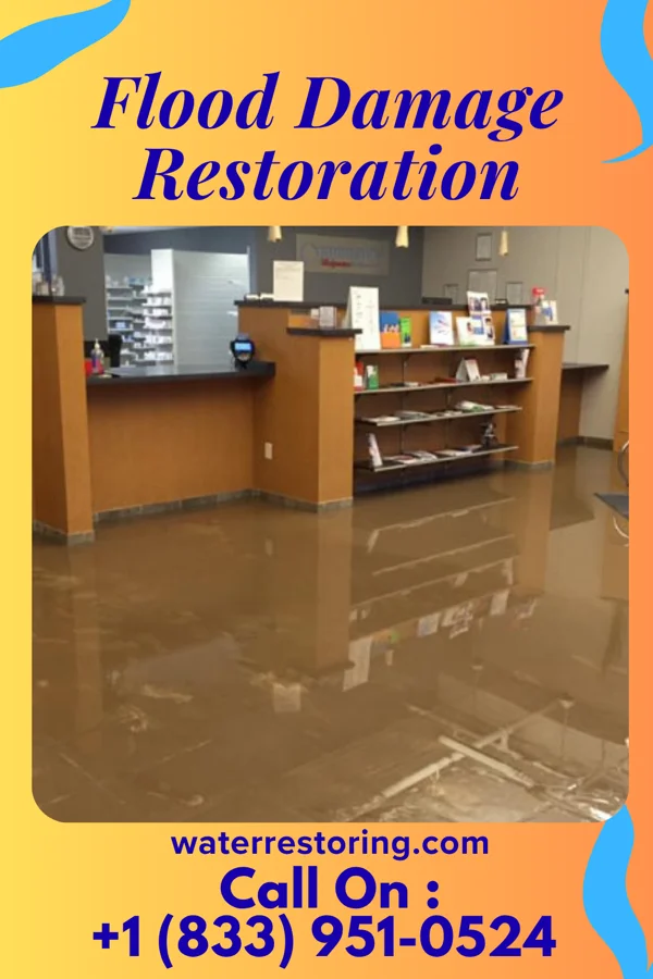 Flood Damage Restoration in Macon, MS